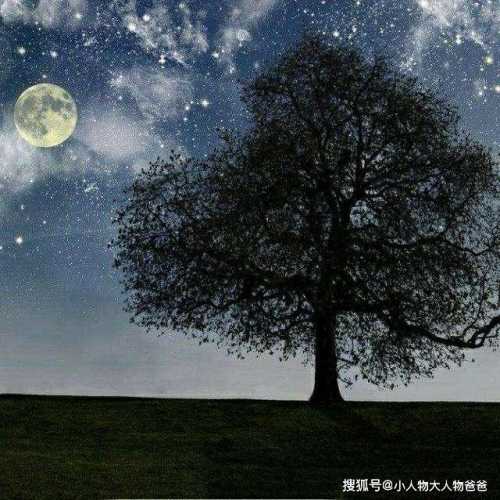 何处有胎教散文在线播放-第1张图片
