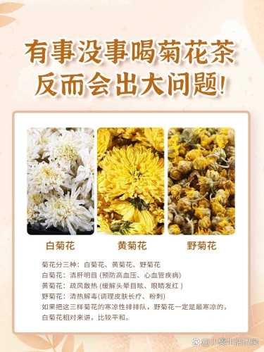 怀孕能喝菊花茶吗-第1张图片