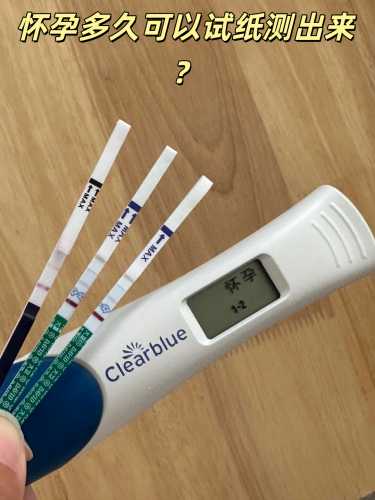 一般怀孕几周能测出来-第1张图片