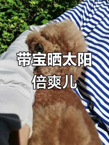 晒太阳晒后背助备孕吗-第1张图片