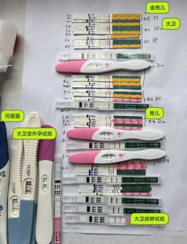 怀孕几天用验孕棒能测出来-第1张图片