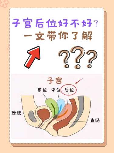 子宫前位容易顺产吗-第1张图片